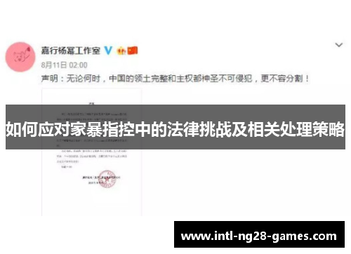 如何应对家暴指控中的法律挑战及相关处理策略