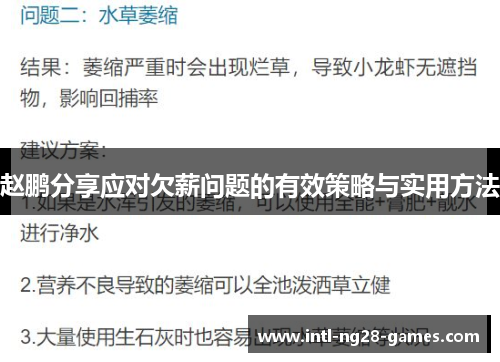 赵鹏分享应对欠薪问题的有效策略与实用方法